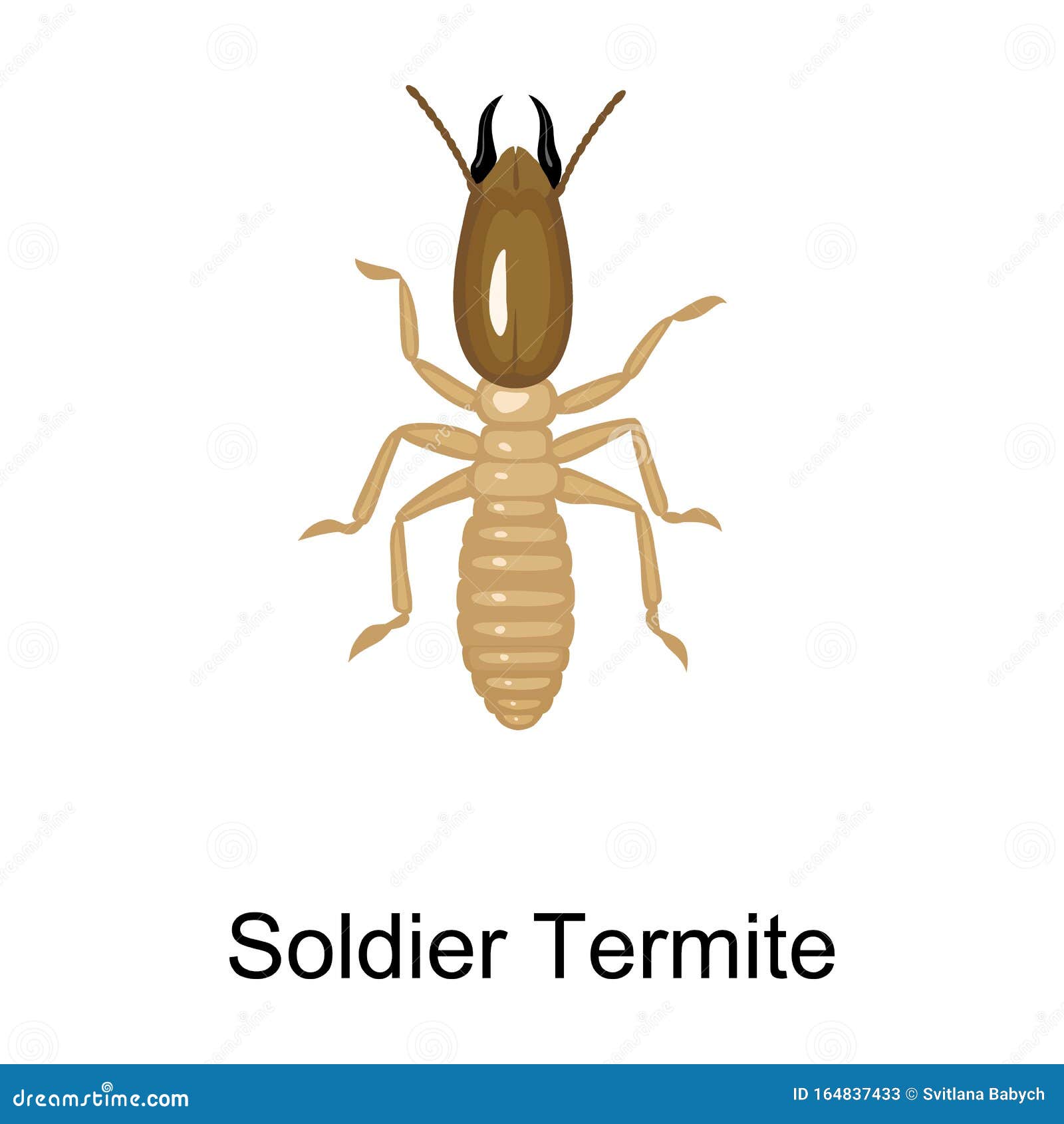 Soldier Termite Vector Icon.Cartoon Vector Icon Isolated On White