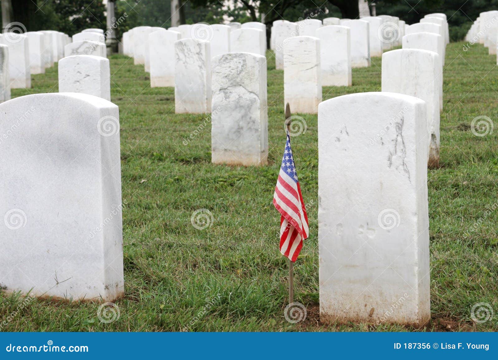 Soldiers Grave stock photo. Image of grave, dead, honored 187356