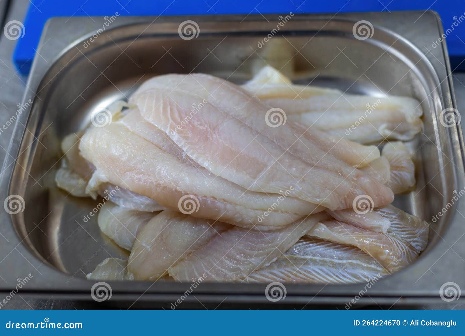 Sole Prepared for Cooking. Fish in the Kitchen Tub Stock Photo Image