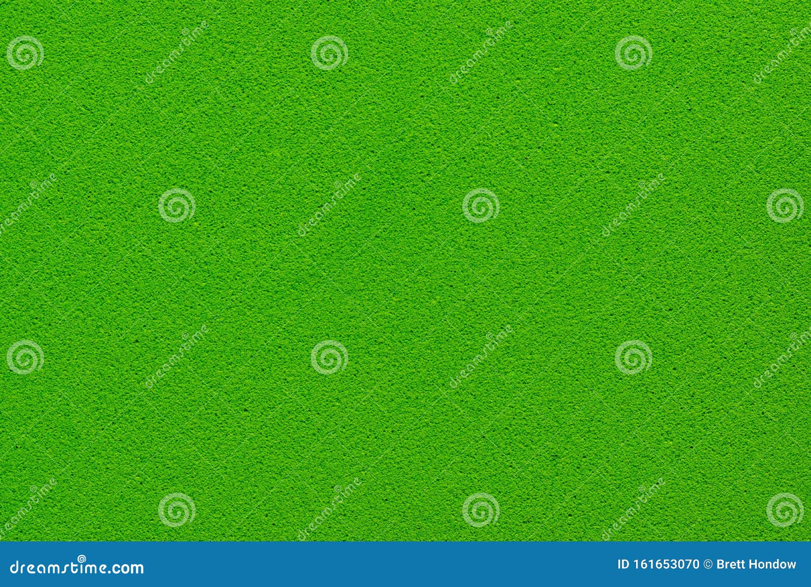 Solid Kelly Green Color Background Stock Photo Image Of Frame Room 161653070
