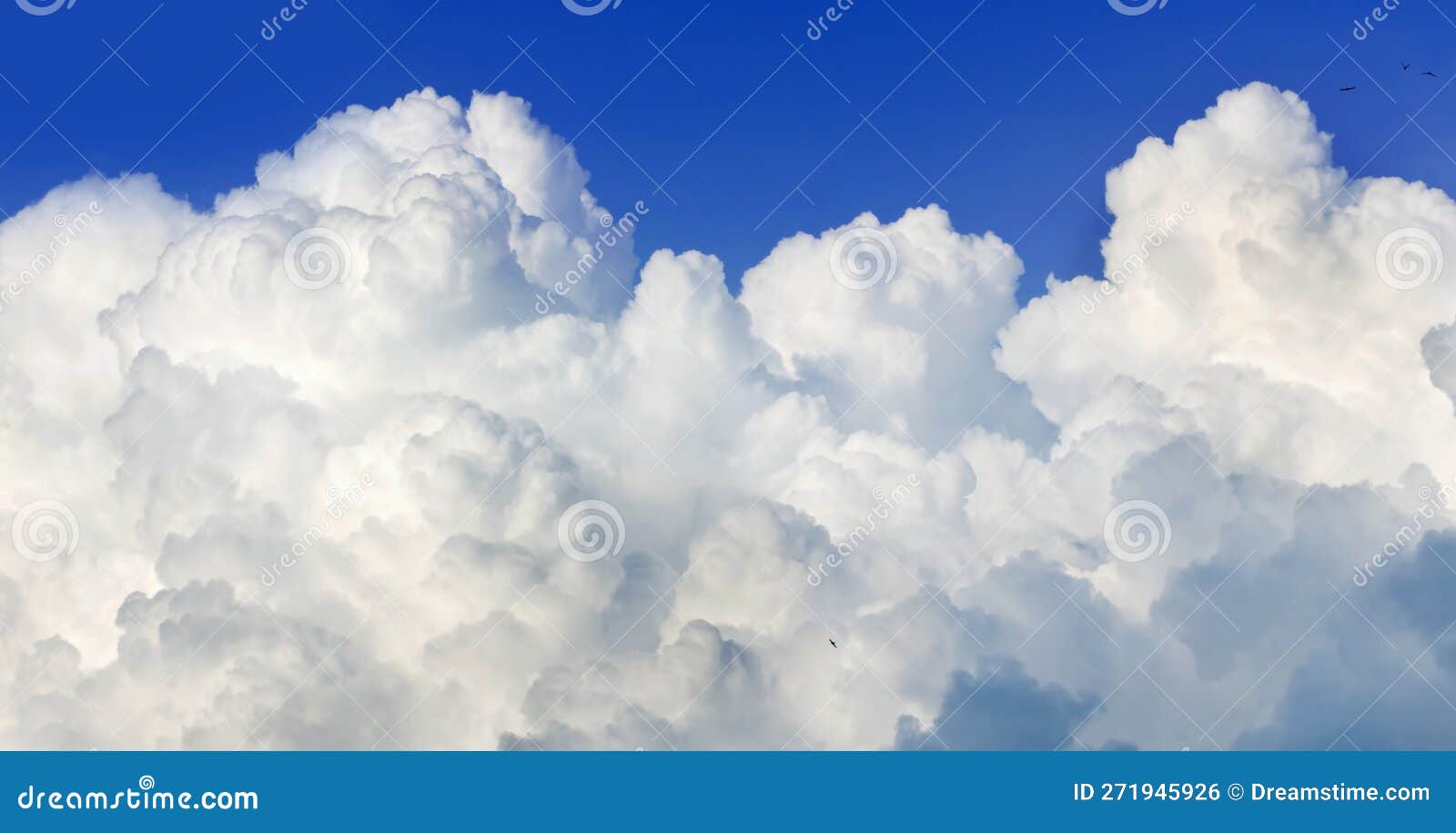 Solid Wall of Cumulus Clouds and a Clear Blue Sky Stock Photo Image