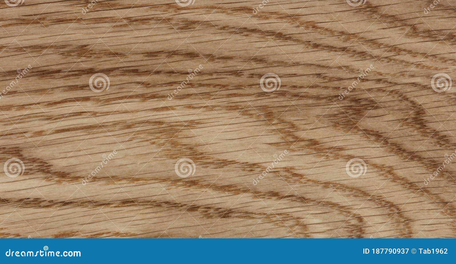 pix White Oak White Wood Texture Seamless dreamstime com