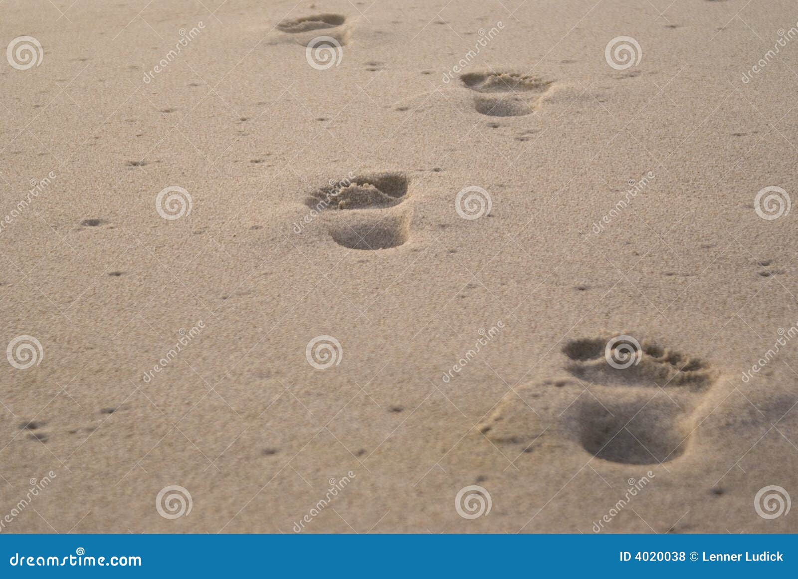 solitary footprints in sand