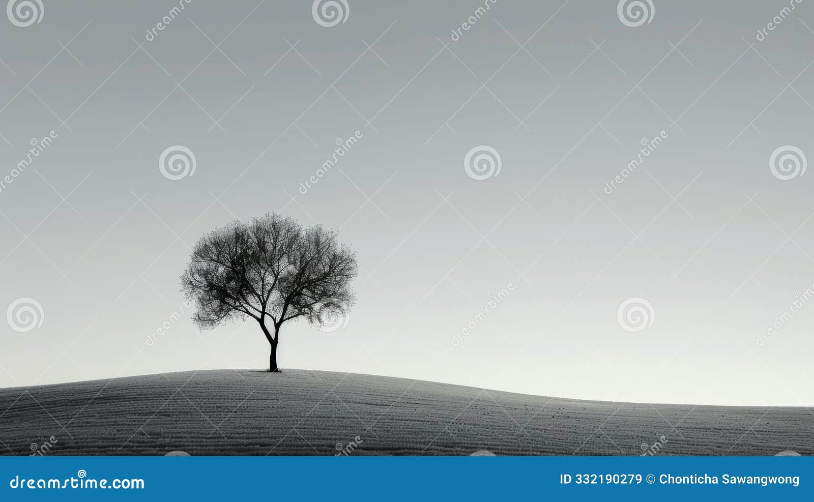 a solitary tree stands tall on a grassy hill against a muted sky. the minimalist composition