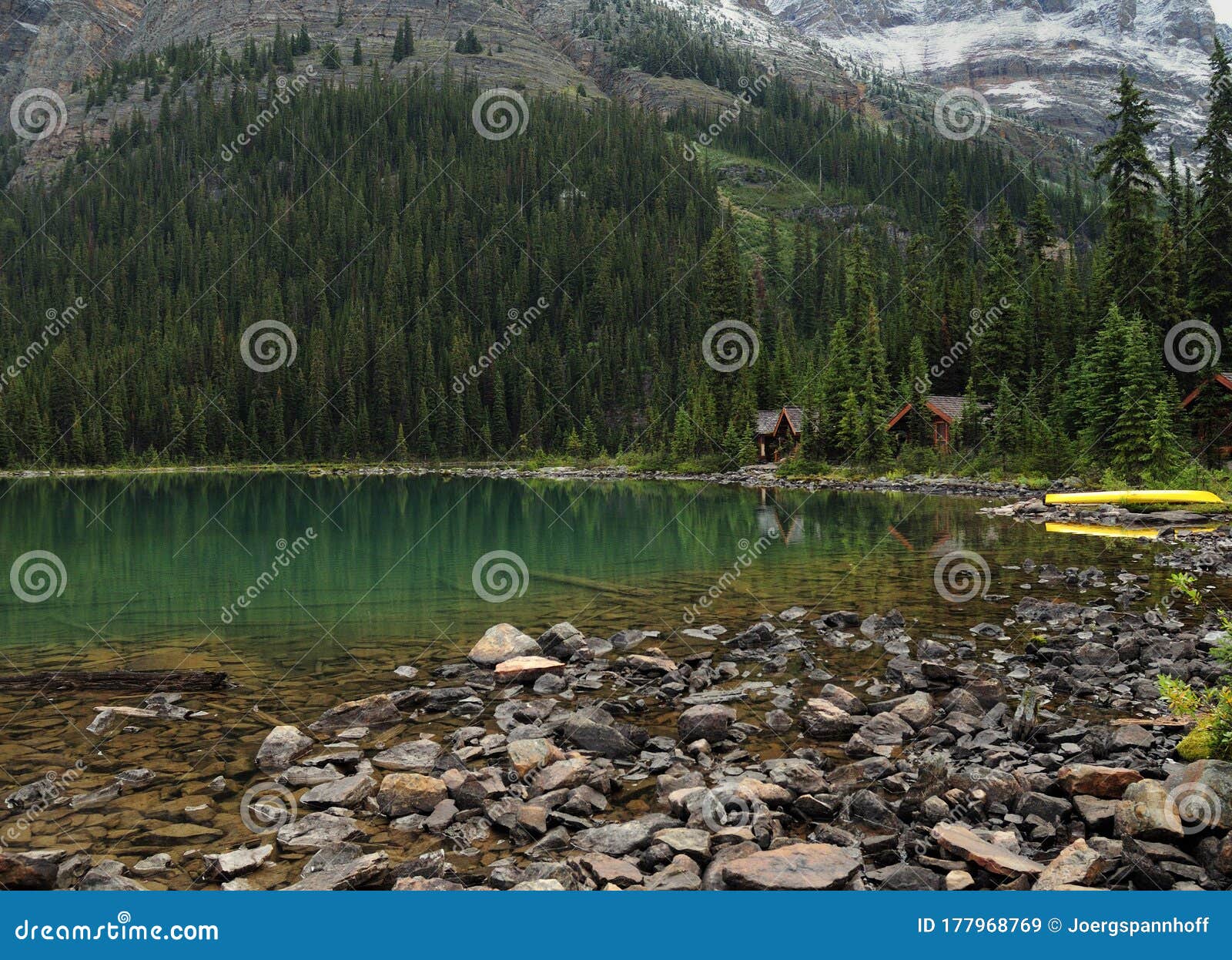 solitude and tranquillity in the wilderness of lake o`hara yoho national park