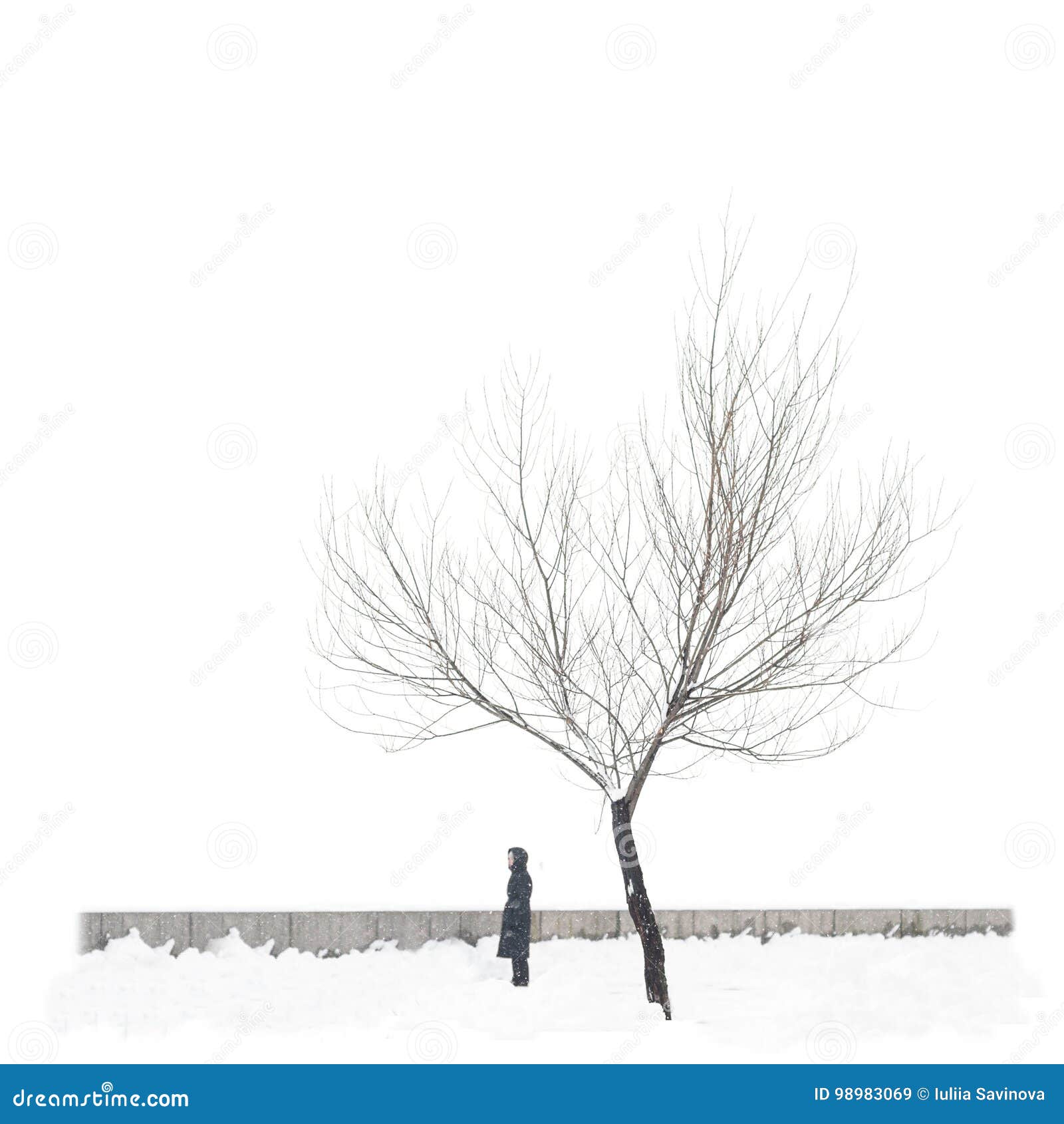 Solo Arbol Nevado Aislado En Fondo Blanco Puro Con El Hombre Solo Imagen De Archivo Imagen De Frialdad Invierno 9069 Solo Arbol Nevado Aislado En Fondo Blanco Puro Con El Hombre Solo Imagen De Archivo Imagen De Frialdad Invierno 9069
