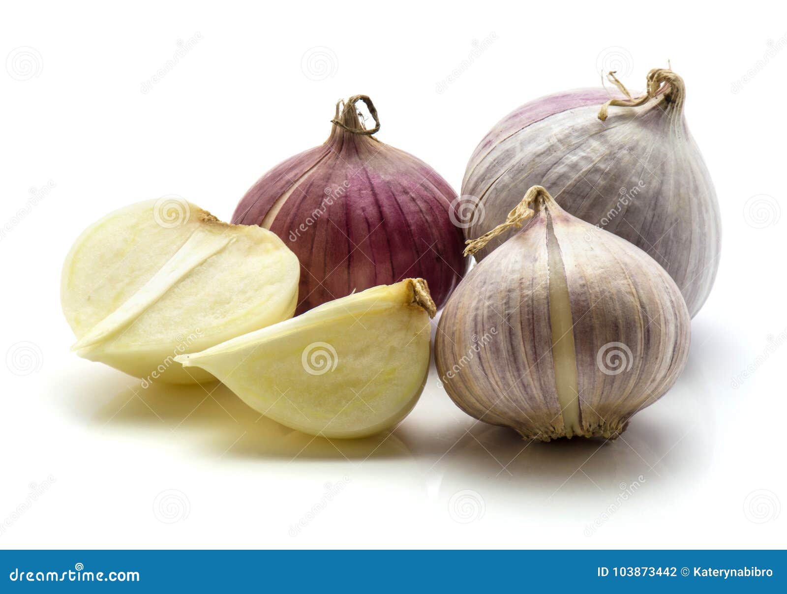 Solo garlic isolated stock photo. Image of amaryllis 103873442