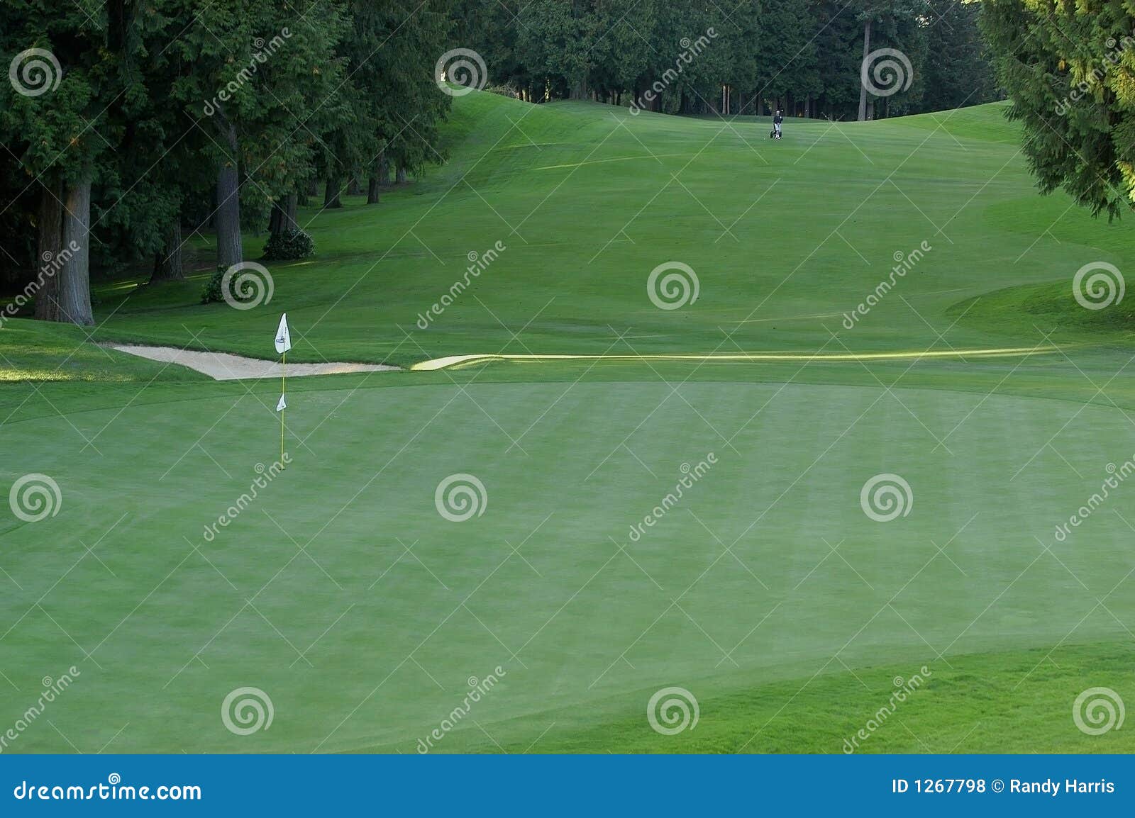 Solo golfer on golf course stock photo. Image of game 1267798