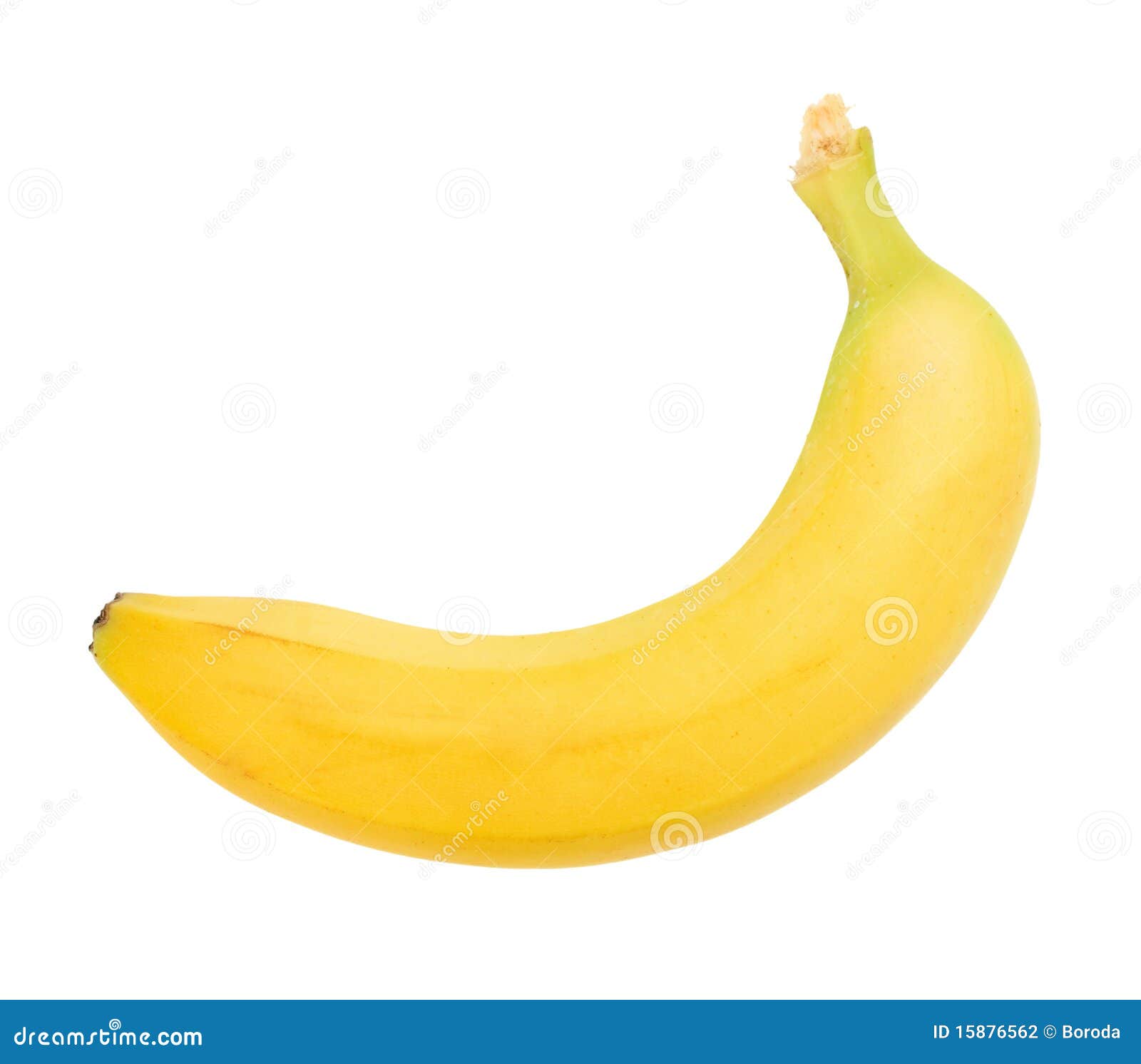 Solo Plátano Amarillo Fotografía de archivo - Imagen: 15876562