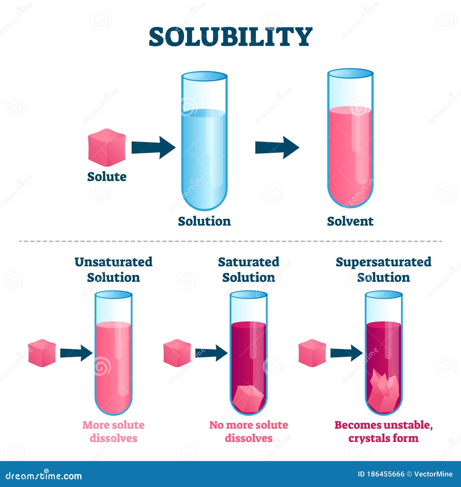 Vector scientific chemical illustration of concentration isolated on white.  Low concentration and high concentration of a solution in a beaker or  container. Particles such as molecules, ions, atoms. Stock Vector