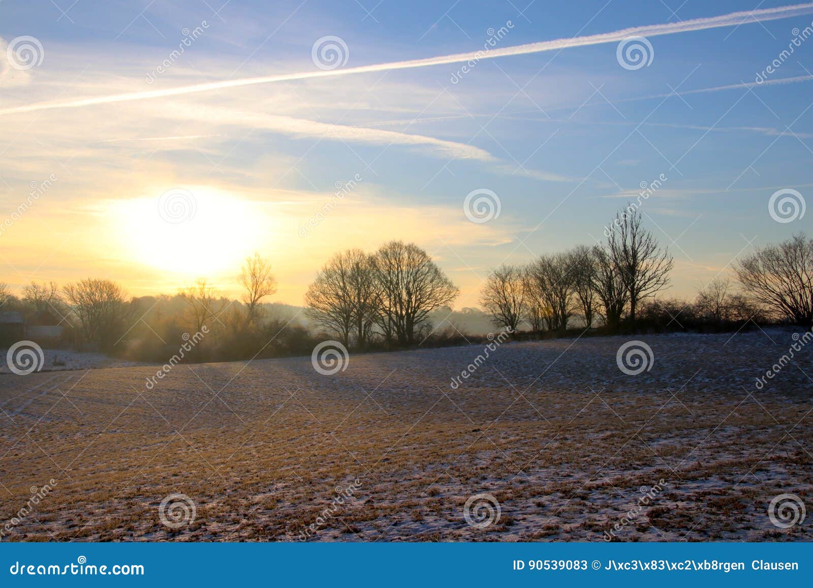 Sombras amarillas en campo nevoso en febrero