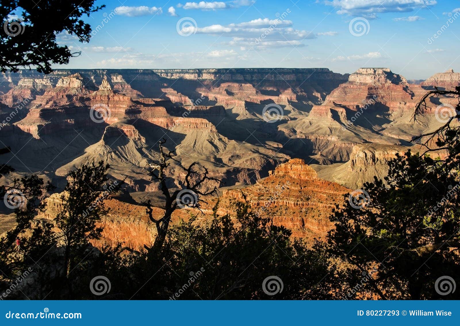 Sombras En Mather Point, Grand Canyon Imagen de archivo Imagen de