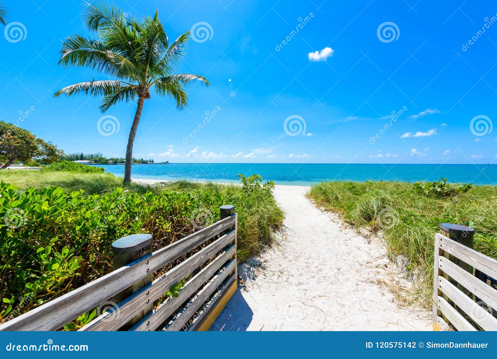 sombrero beach with palm trees on the florida keys, marathon, fl