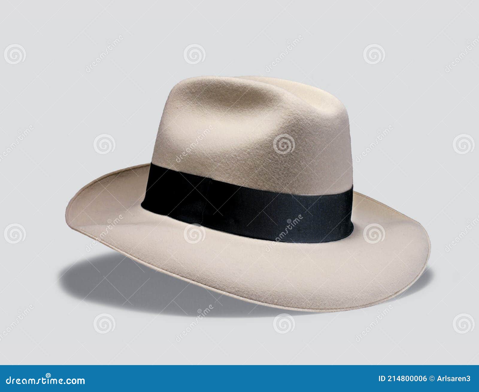Sombreros Elegantes Para Hombre Todas Las Estaciones. Toma De Estudio Foto - de salir, trendy: 214800006