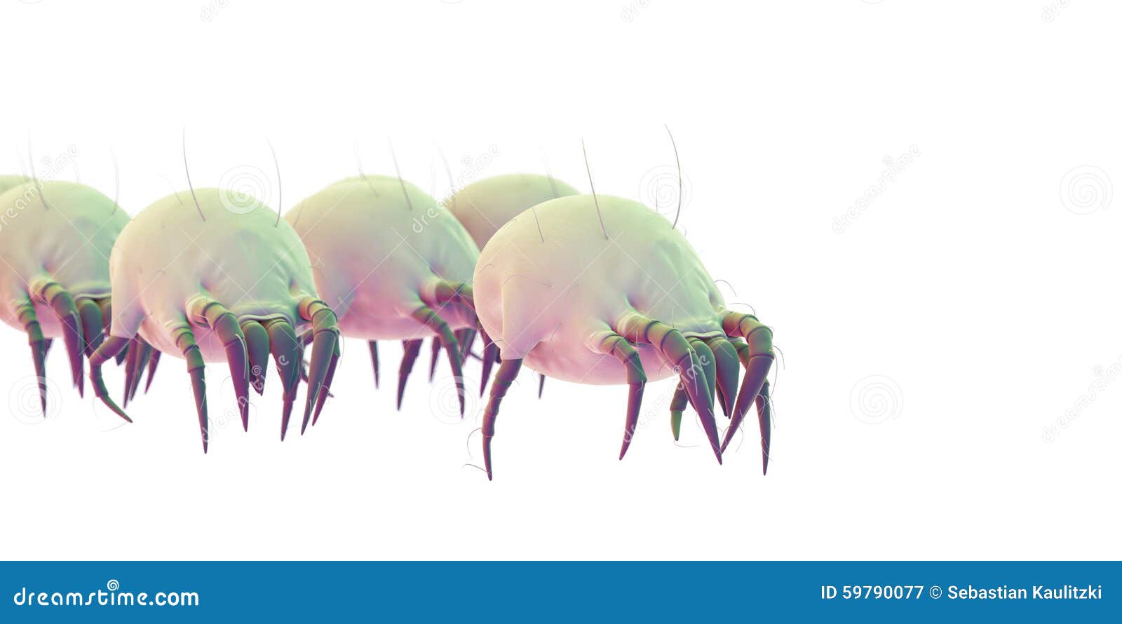 Common Dust Mites RoyaltyFree Cartoon 59791964