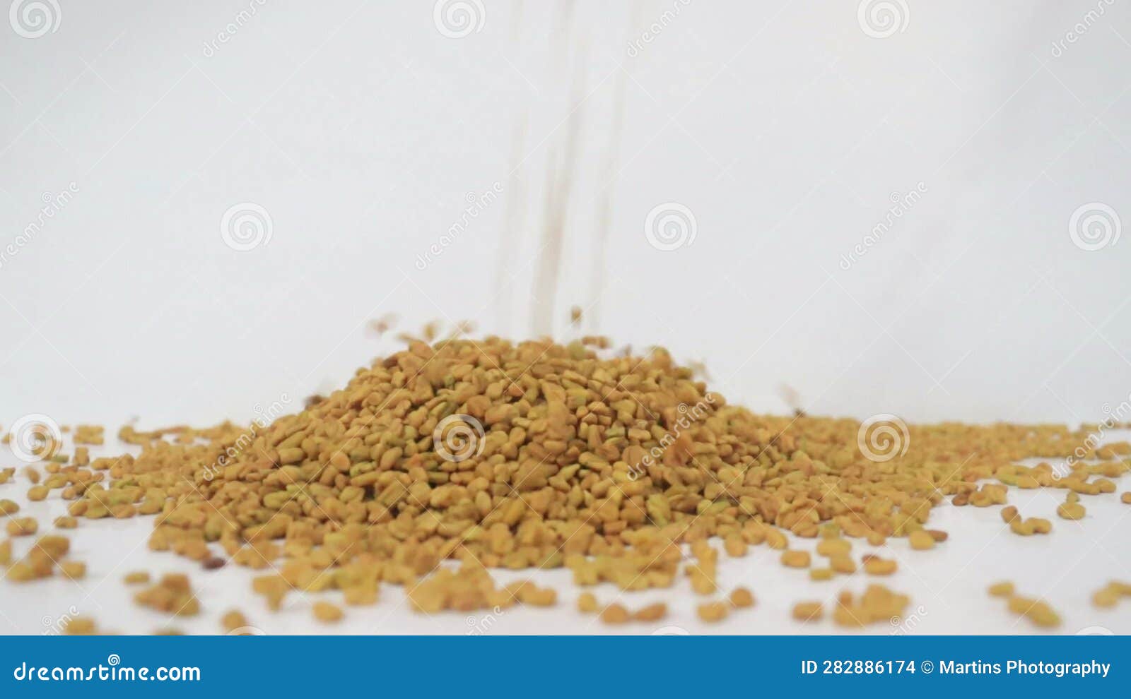 Some Fenugreek Drop from Top in White Background Stock Footage Video