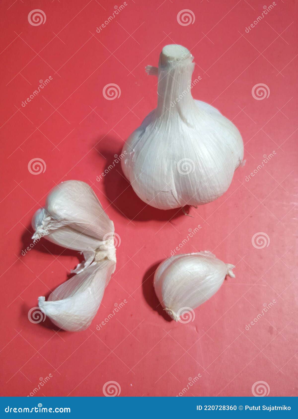 Some of the garlic stock photo. Image of healthy, garlic 220728360