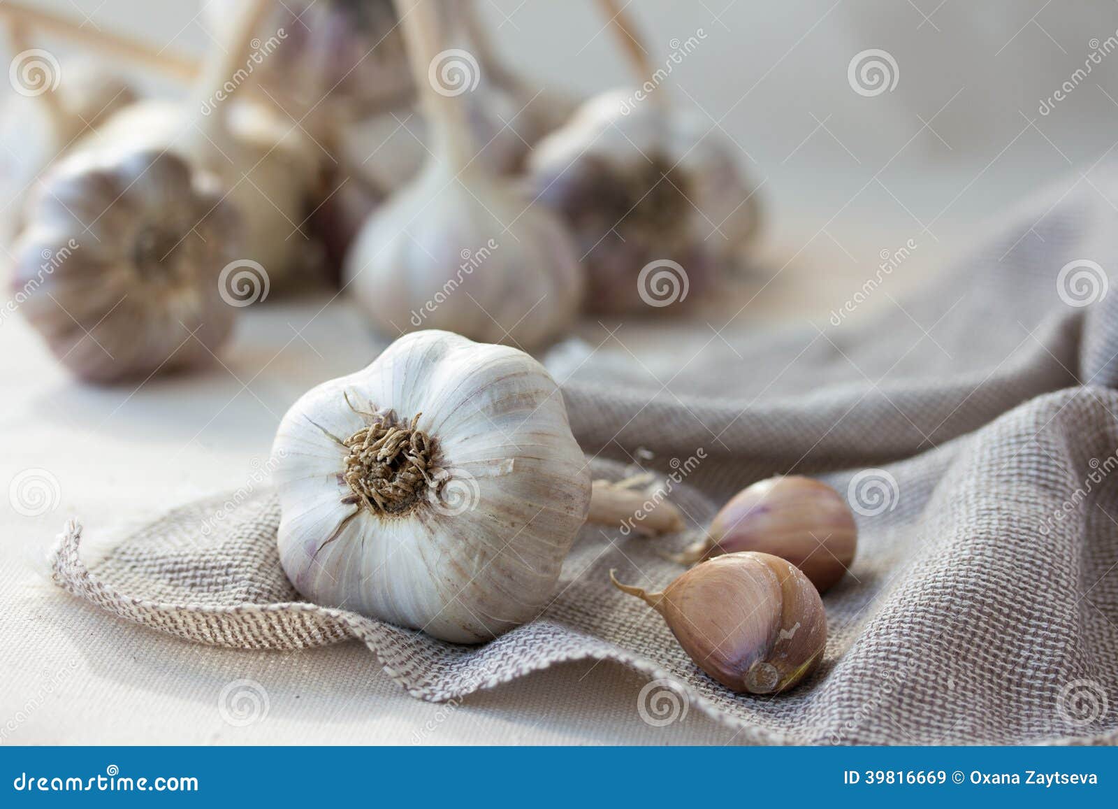 Some Garlic Head and Clove on Sackcloth Stock Image Image of