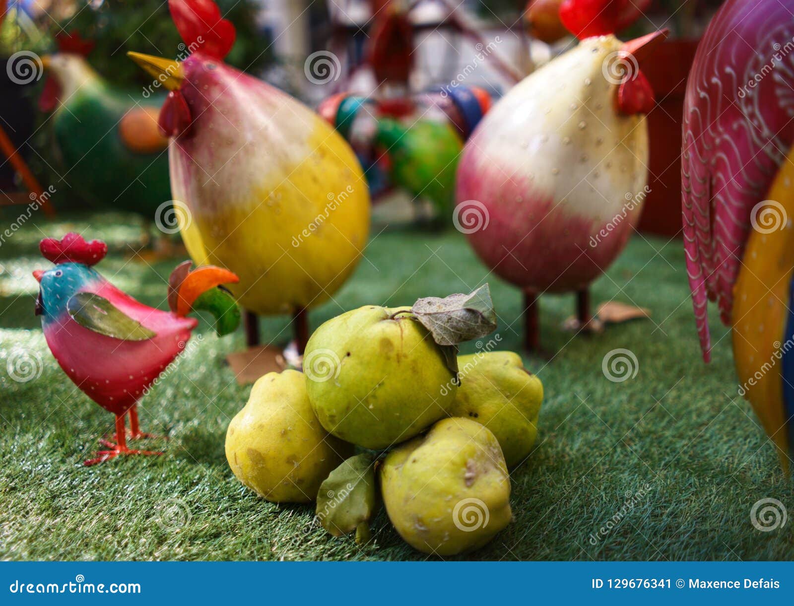 Quince and chickens stock image. Image of colourful 129676341