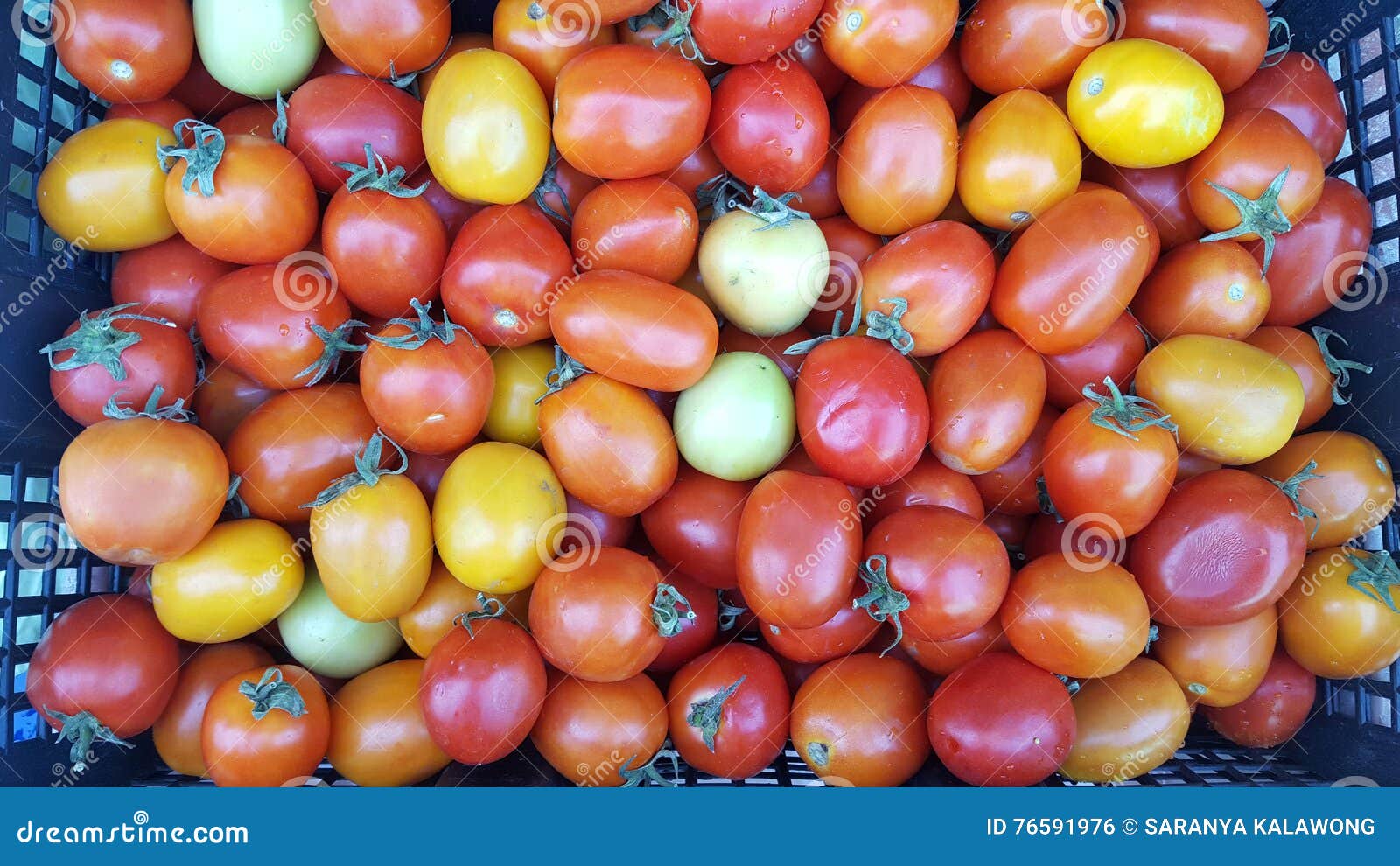 Some Rotten Tomatoes in the Basket Stock Photo Image of food, good