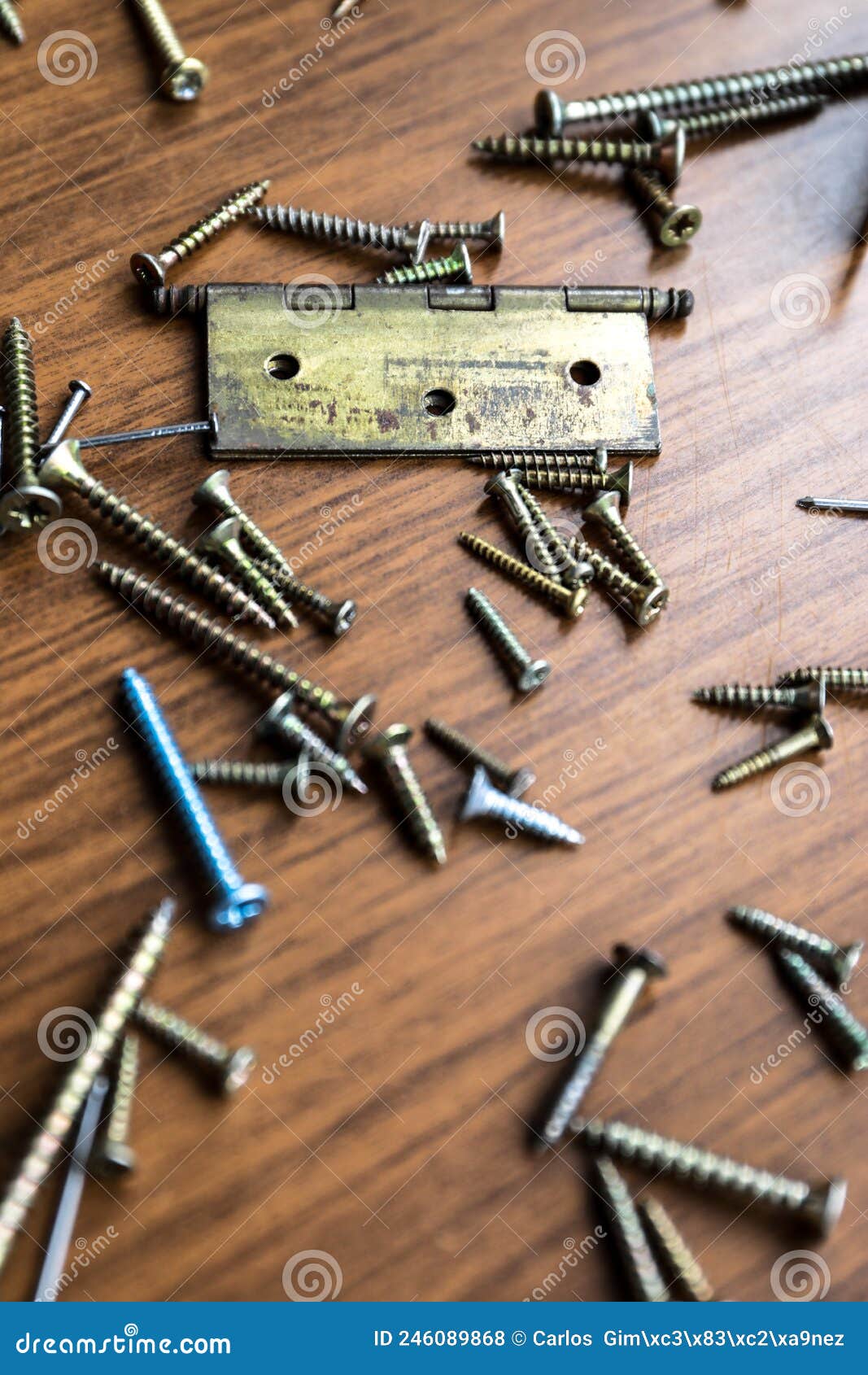 A Set of Hammers with Some Nails and Screws Stock Photo Image of equipment, house 246089868