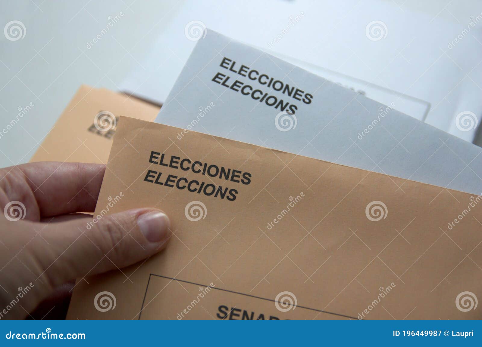 someone holding a couple of envelopes to vote