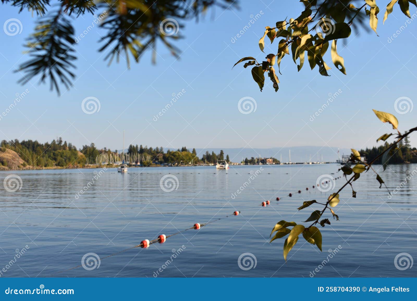 somers park montana flathead lake kalispell bay