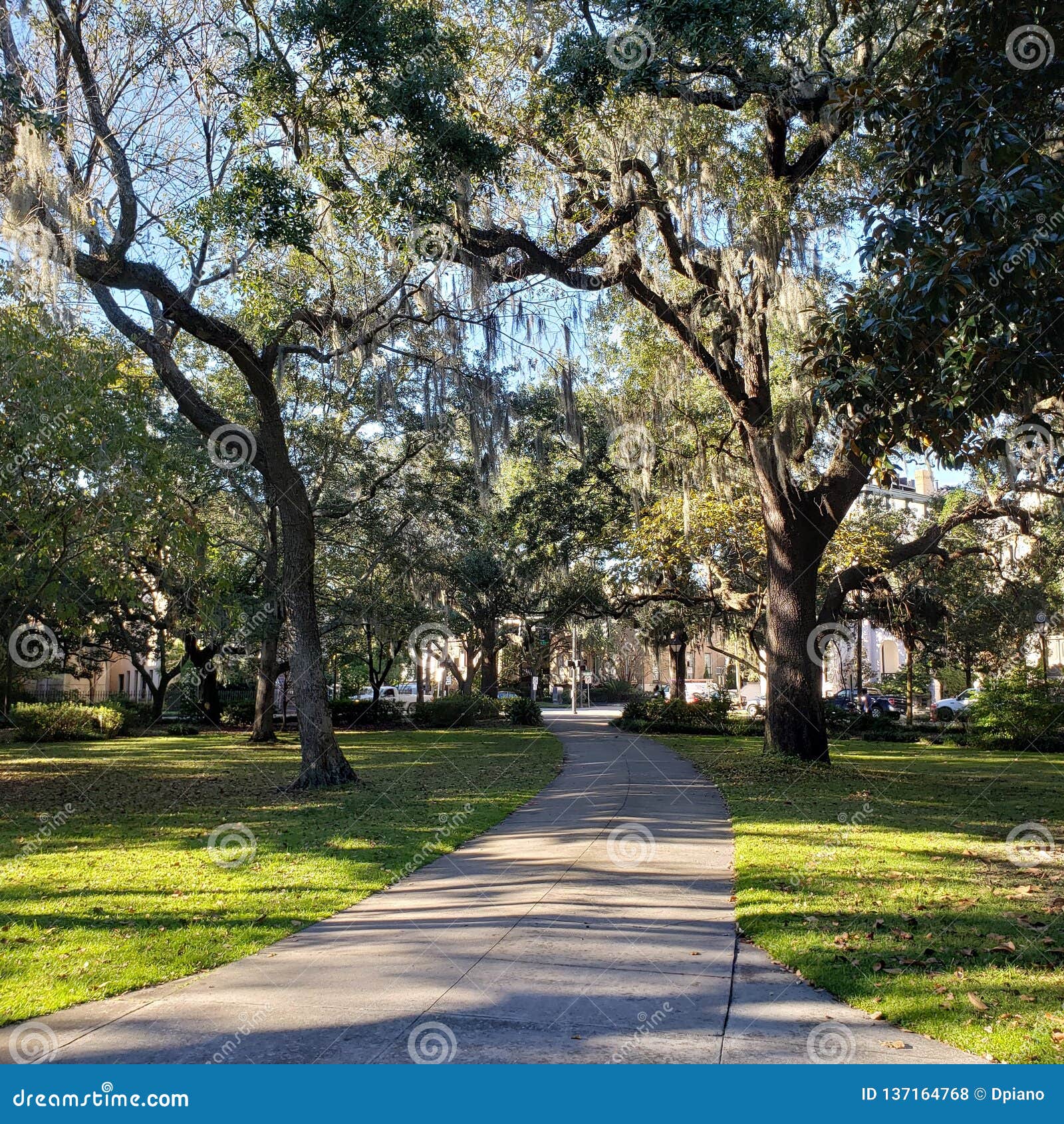 Somewhere In The Garden Of Good And Evil Savannah Georgia