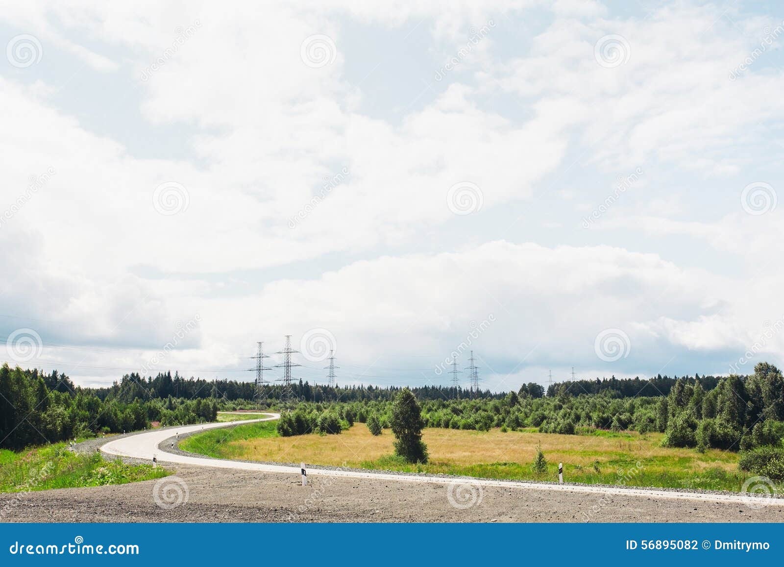 Sommer Forrest. Sommerfeld des Grases an einem sonnigen Tag