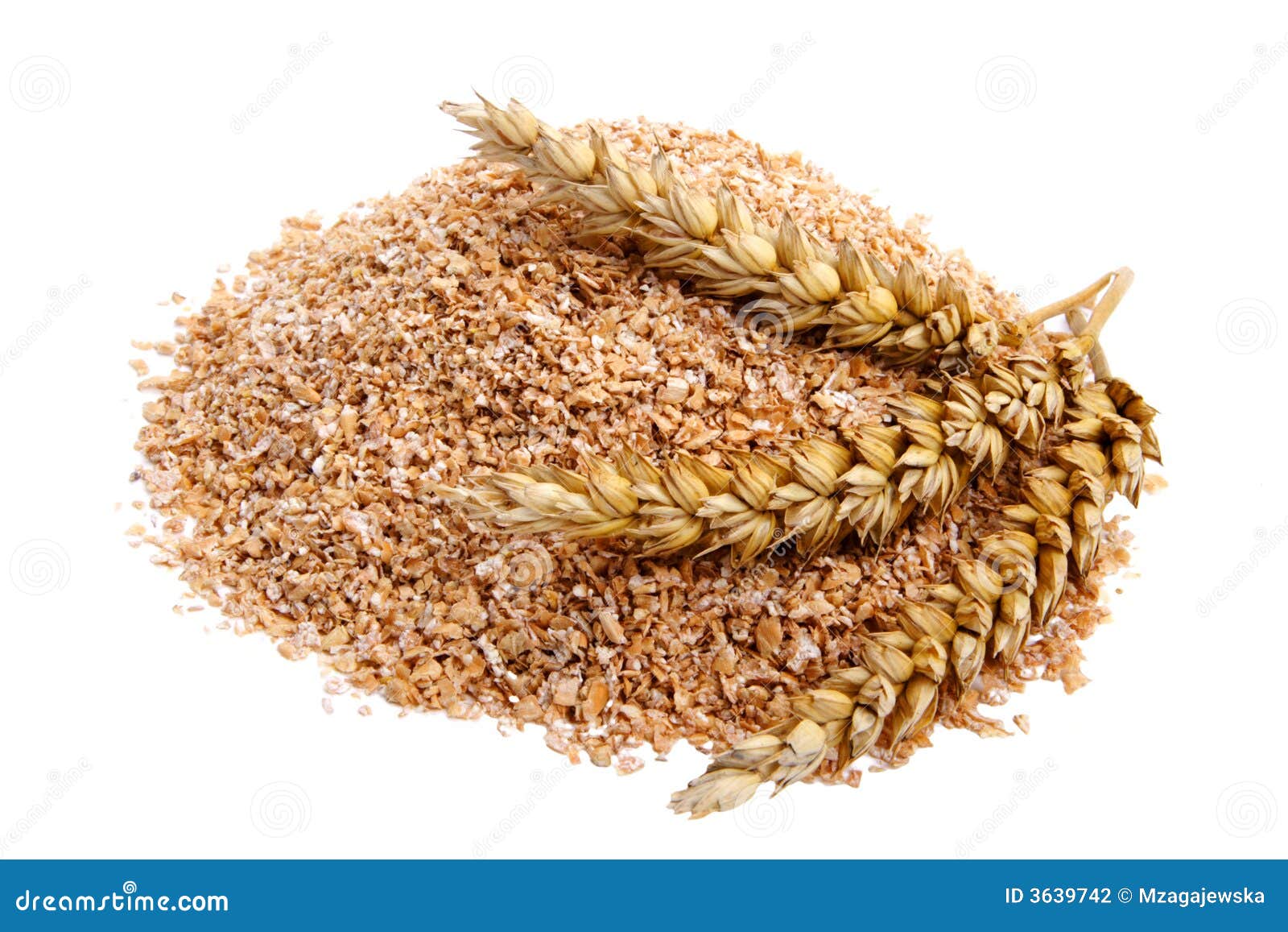 Son de blé photo stock. Image du fibre, sain, blé, organique - 3639742