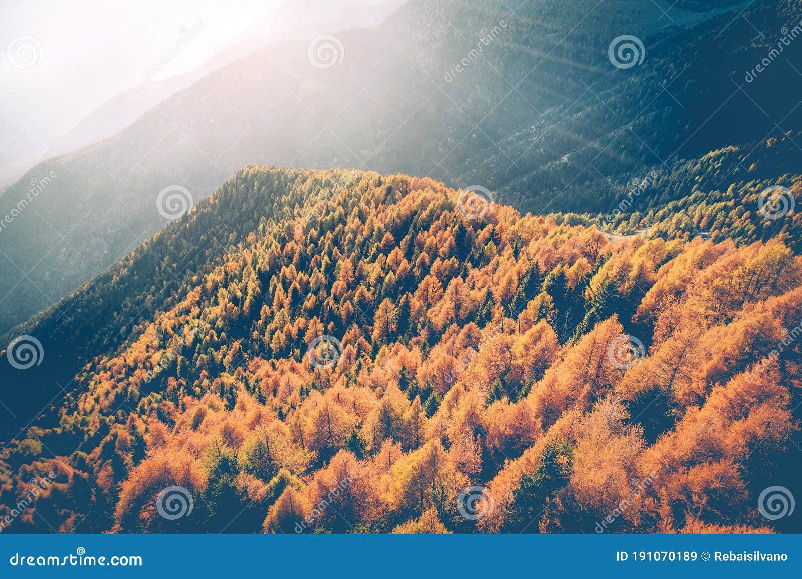 sondrio - valtellina it - autumnal aerial view of alpe colina