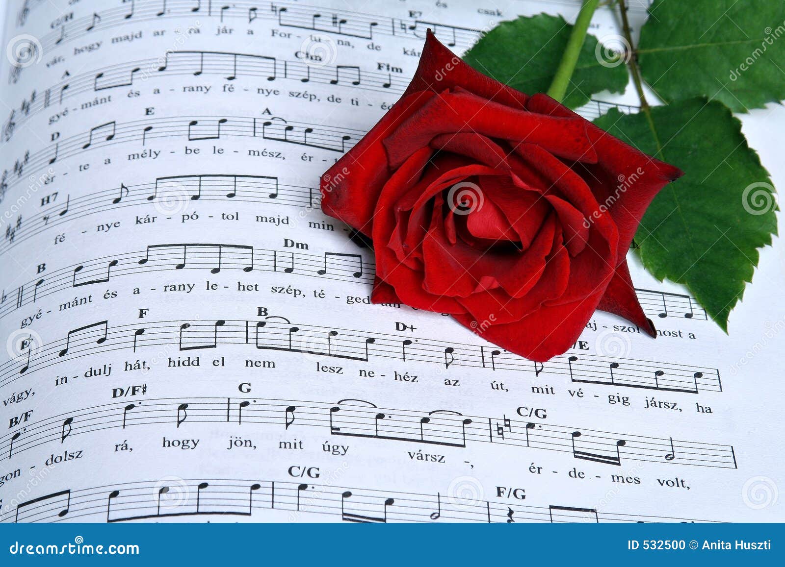 rose mp3 song