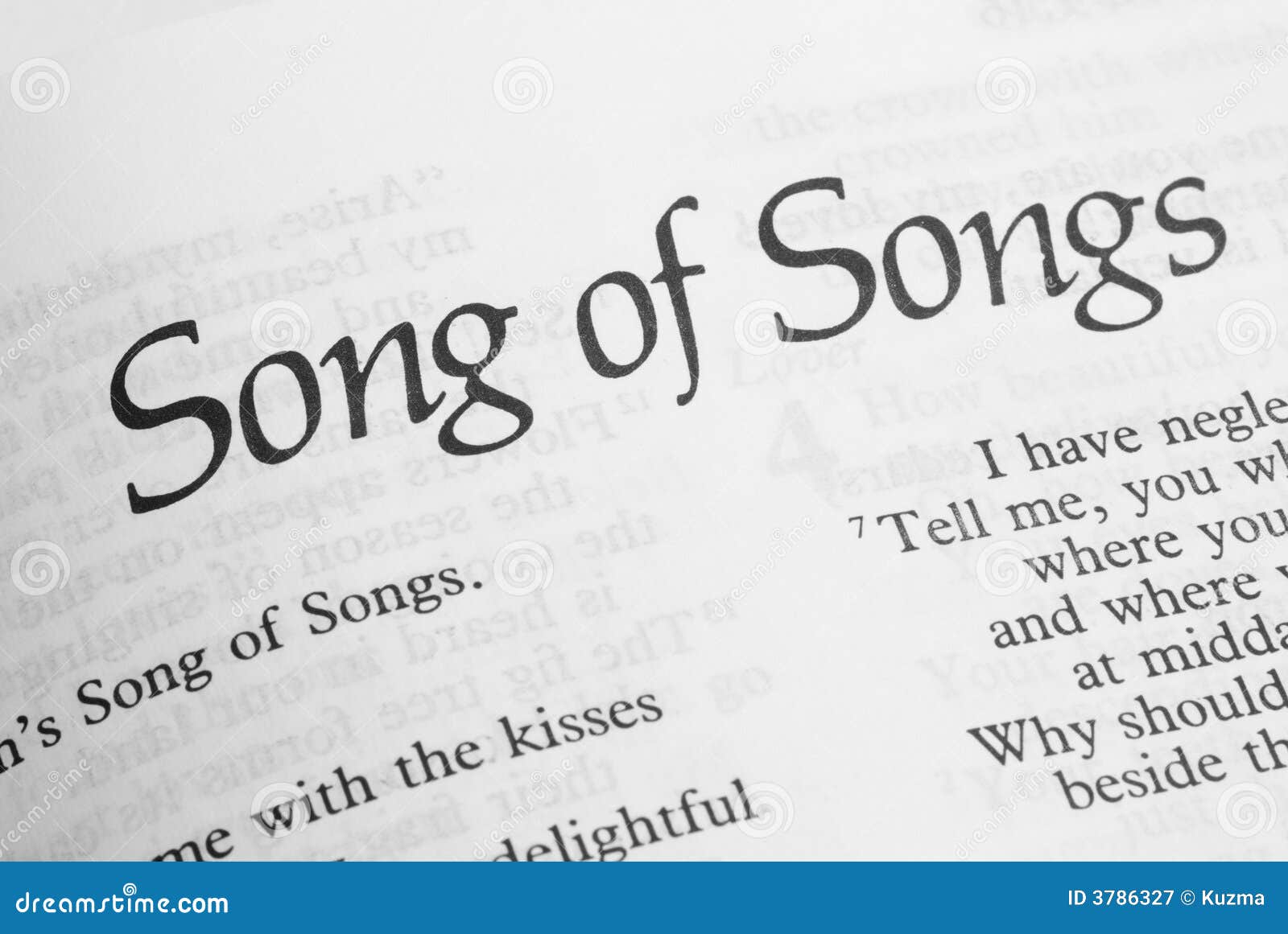 Song Of Songs Analysis