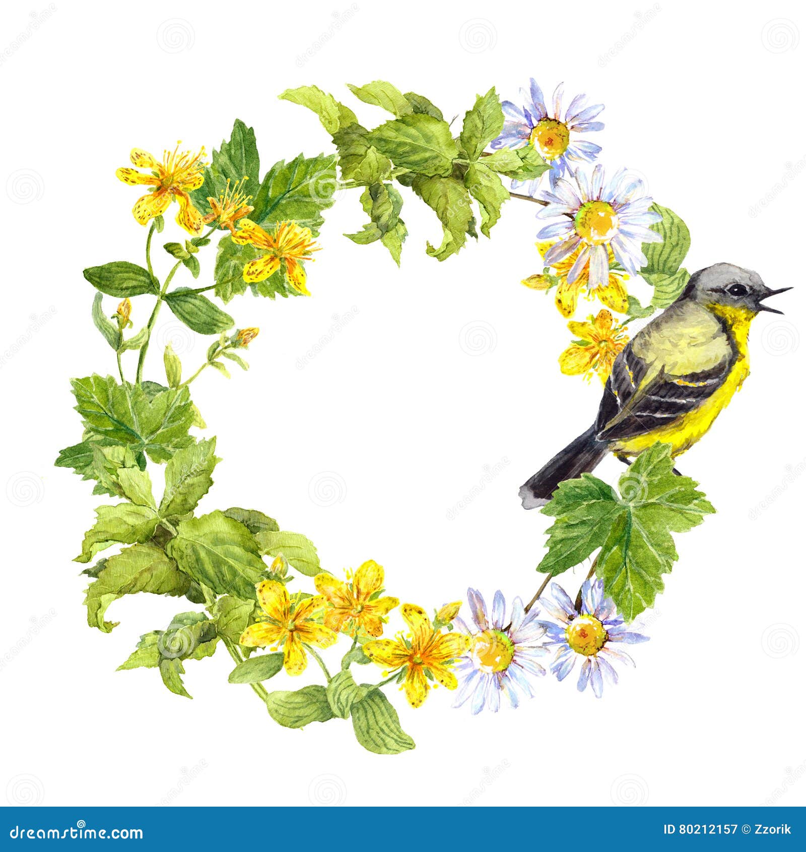 songbird, meadow flowers, grass. floral circle frame. watercolour wreath