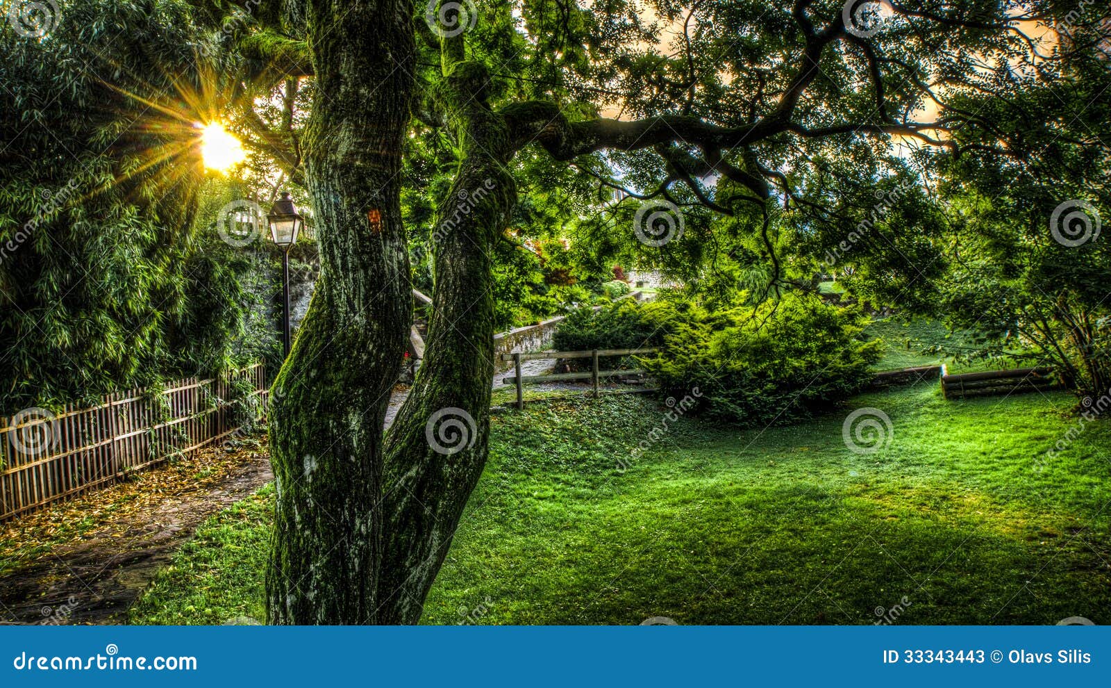 Sonnenaufgang im Garten stockbild. Bild von garten, sonnenaufgang