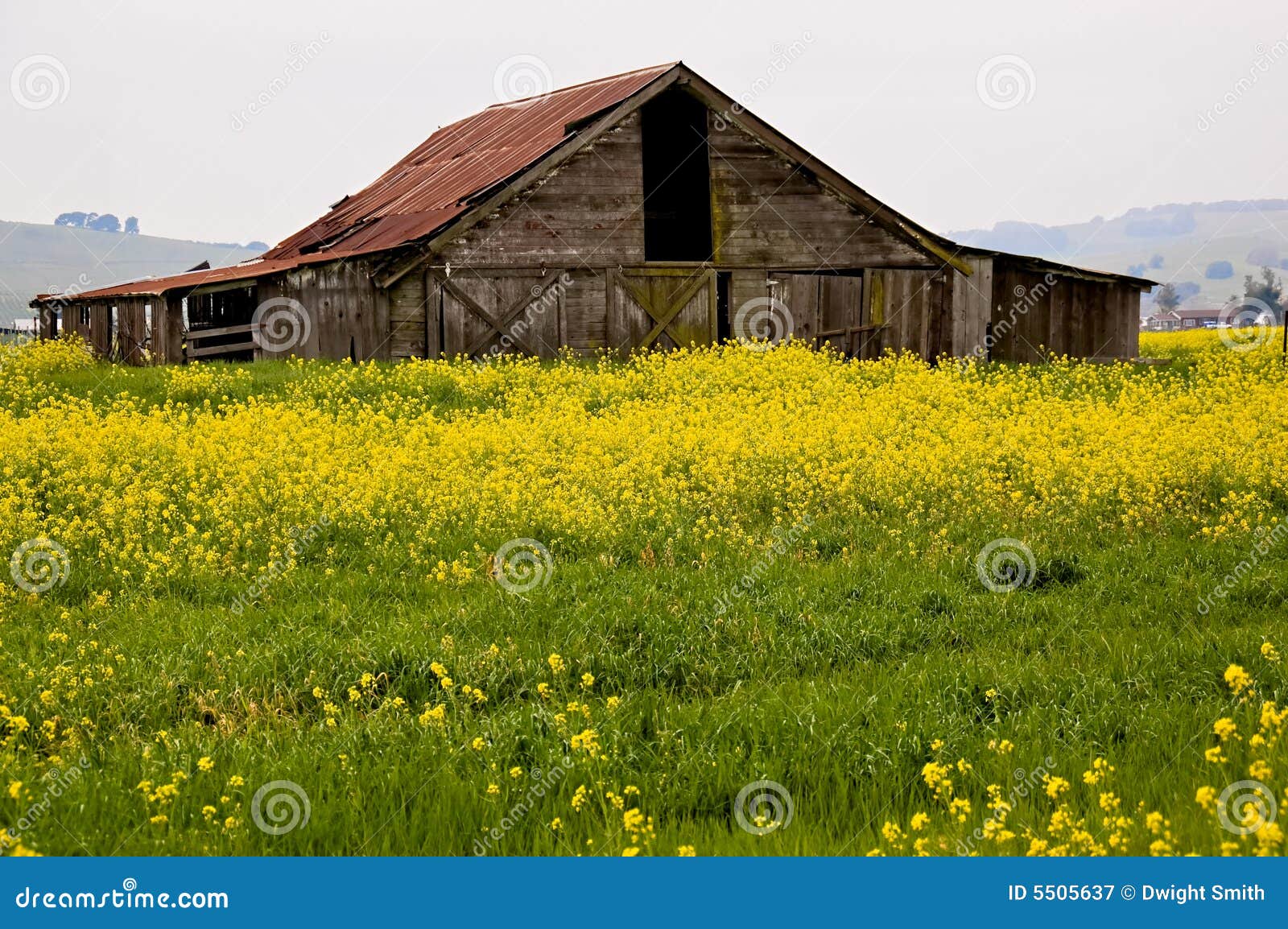 Sonoma Valley Barn stock image. Image of decay, empty 5505637