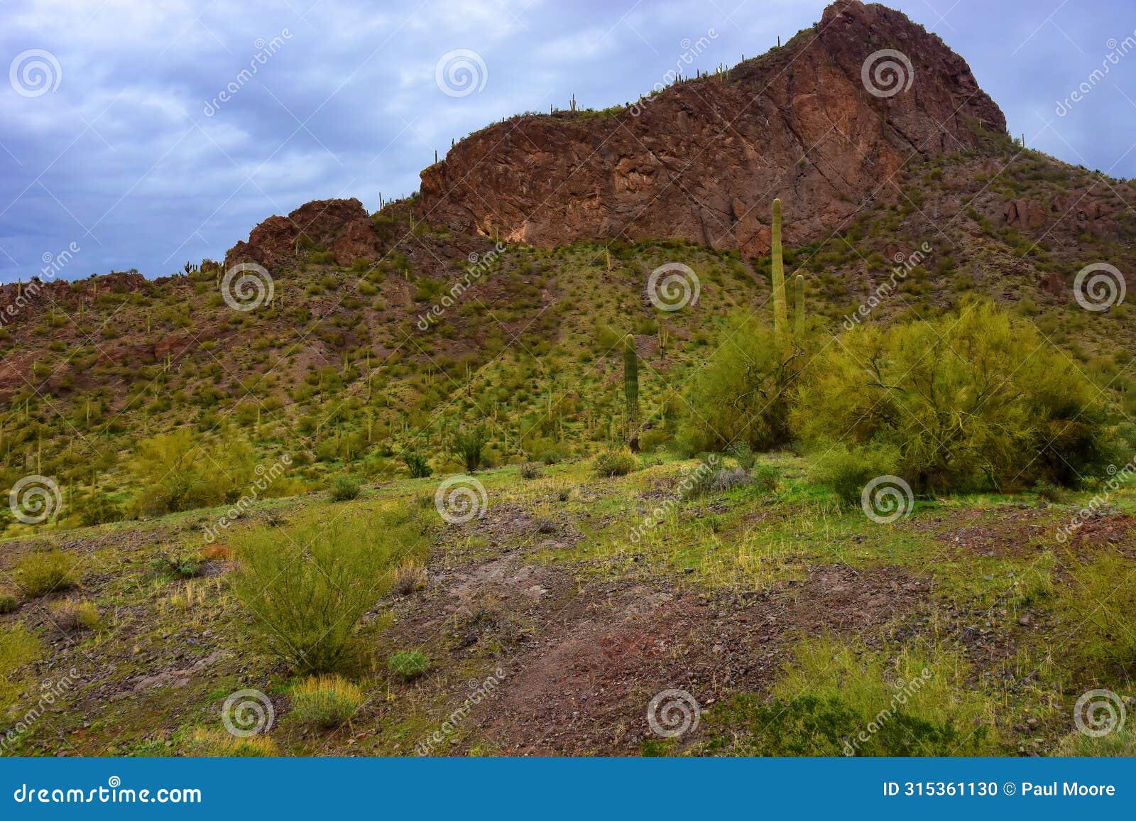 sonora desert arizona picacho peak state park