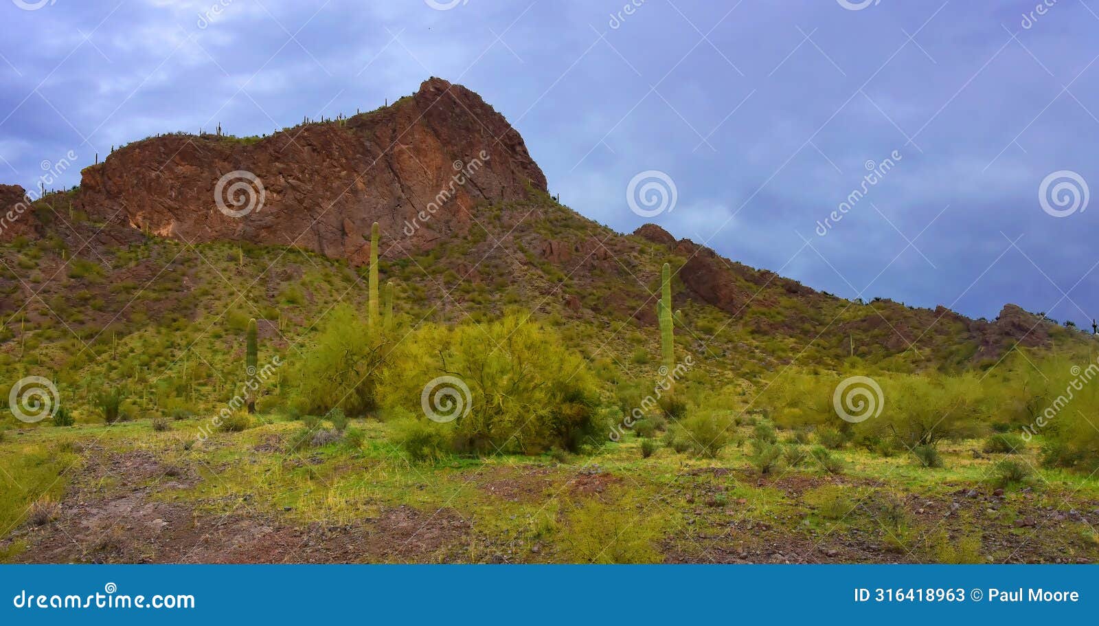 sonora desert arizona picacho peak state park