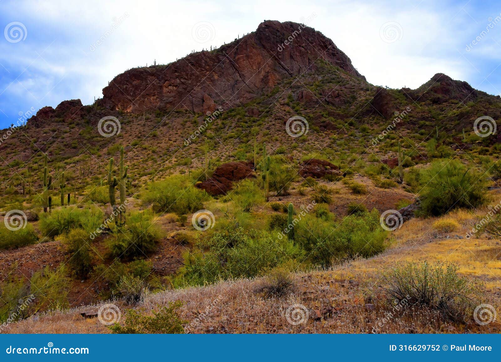 sonora desert arizona picacho peak state park