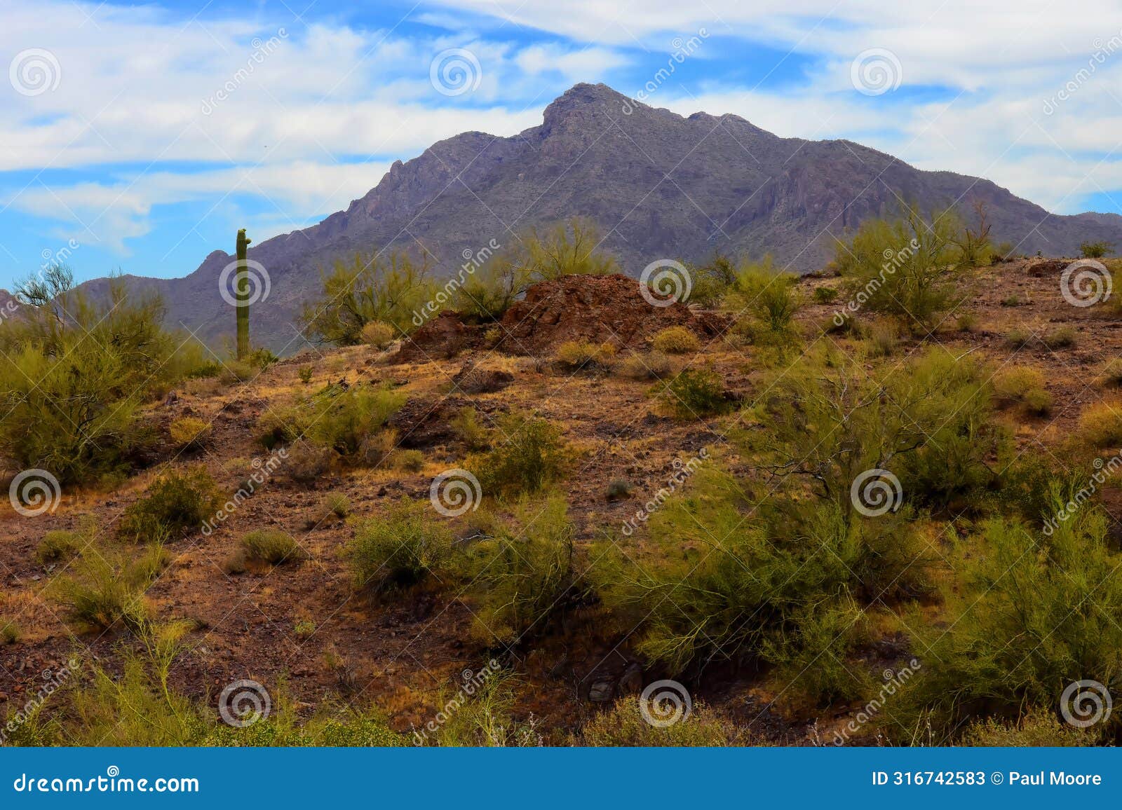 sonora desert arizona picacho peak state park