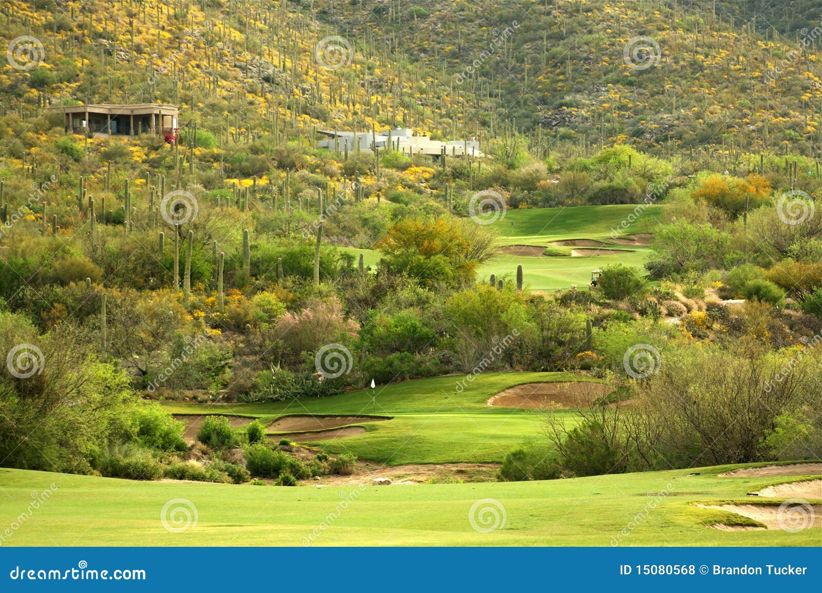 sonoran desert golf