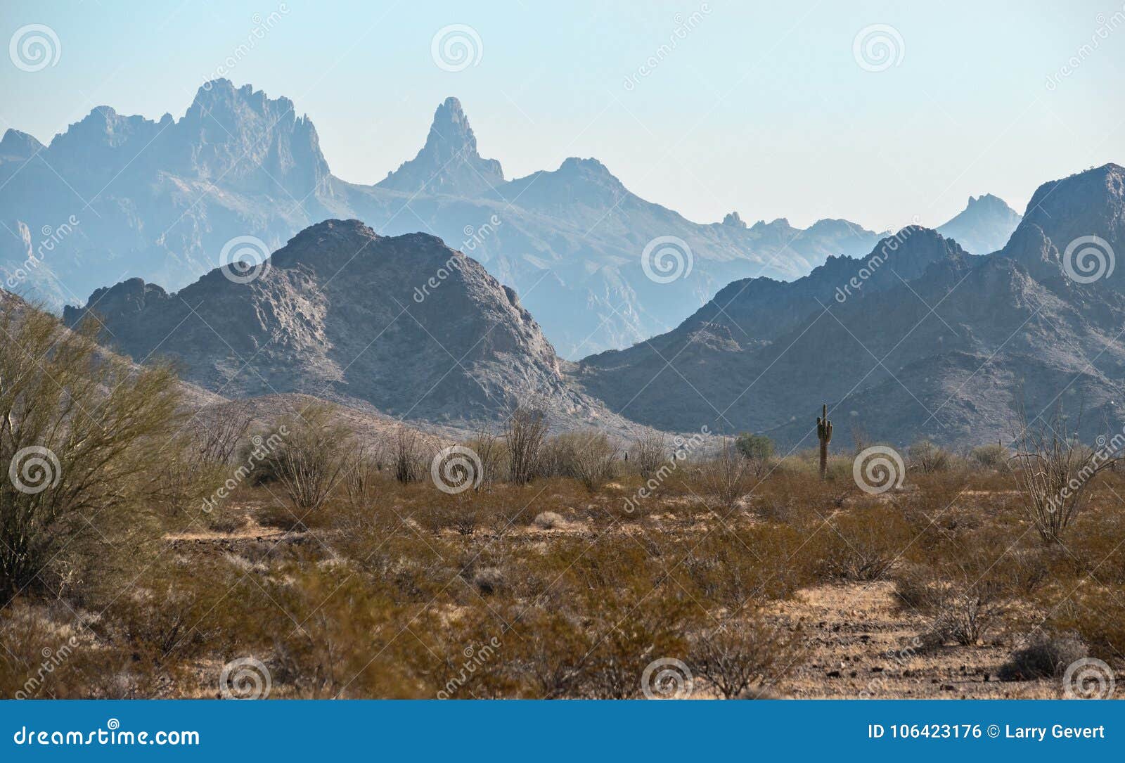 sonoran desert, kofa national wildlife refuge