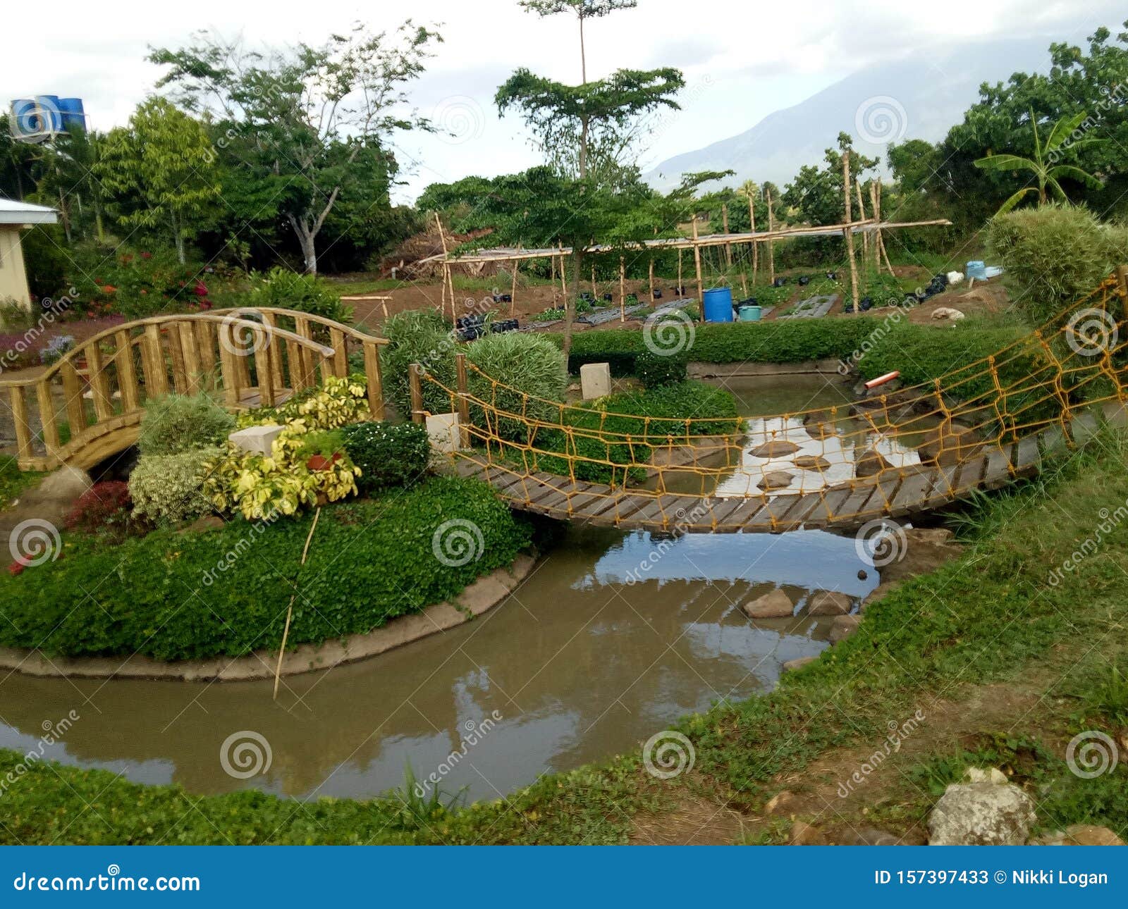 sonrisa bridge