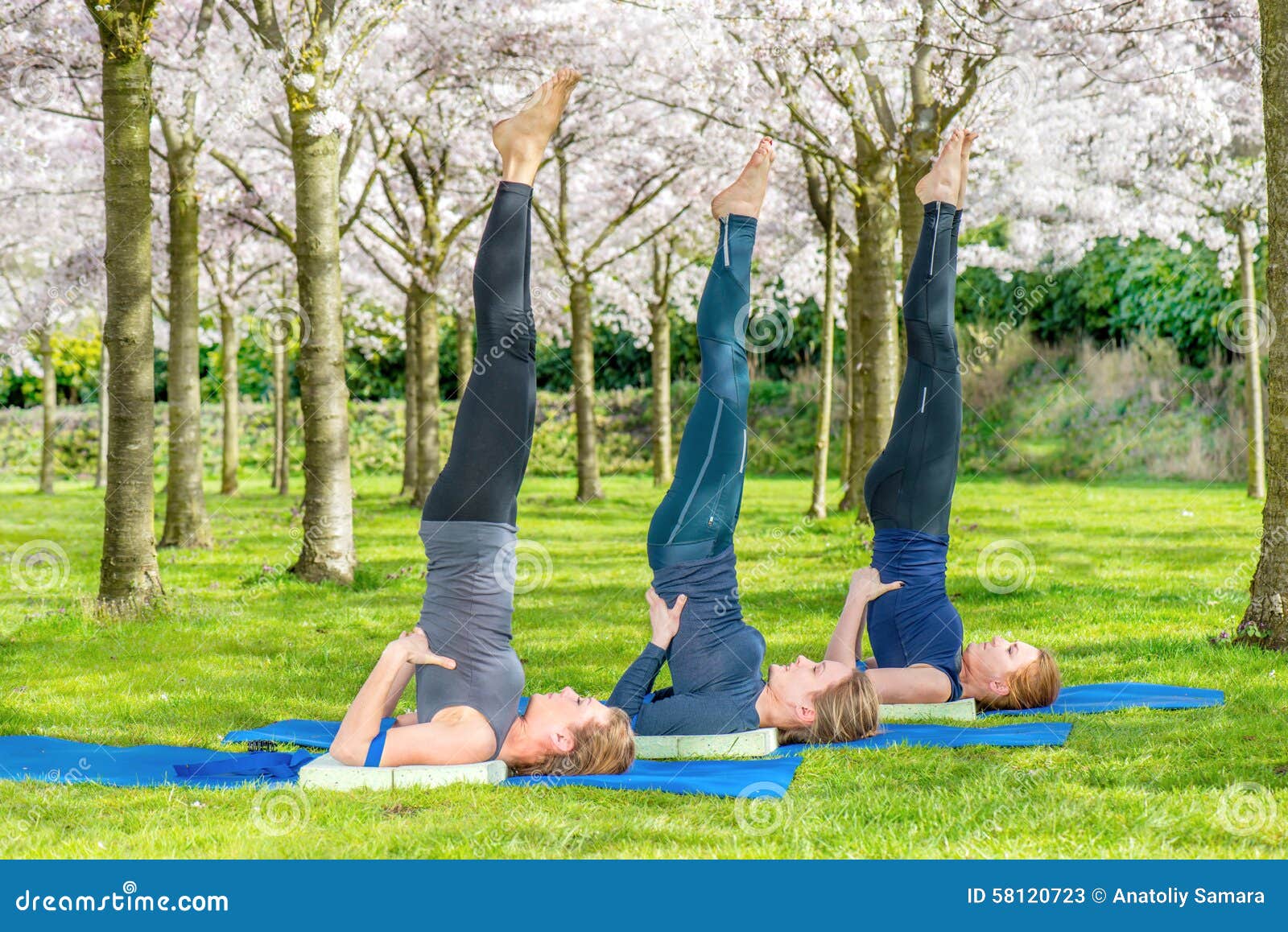 Soporte practicante del hombro del grupo. Sarvangasana practicante del salamba del grupo de la yoga (soporte del hombro) en un parque floreciente de la primavera