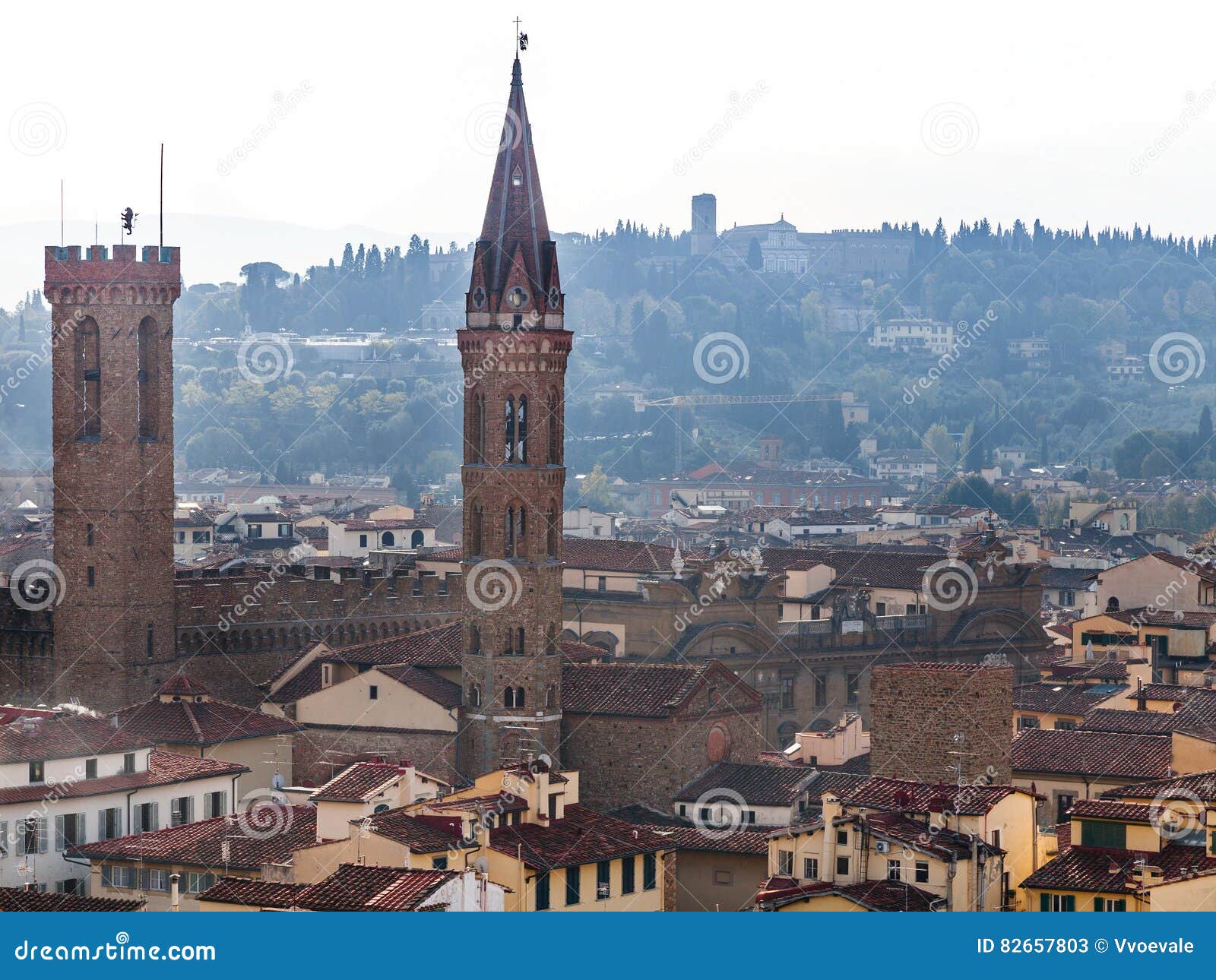 Fiorentina  Città di Firenze