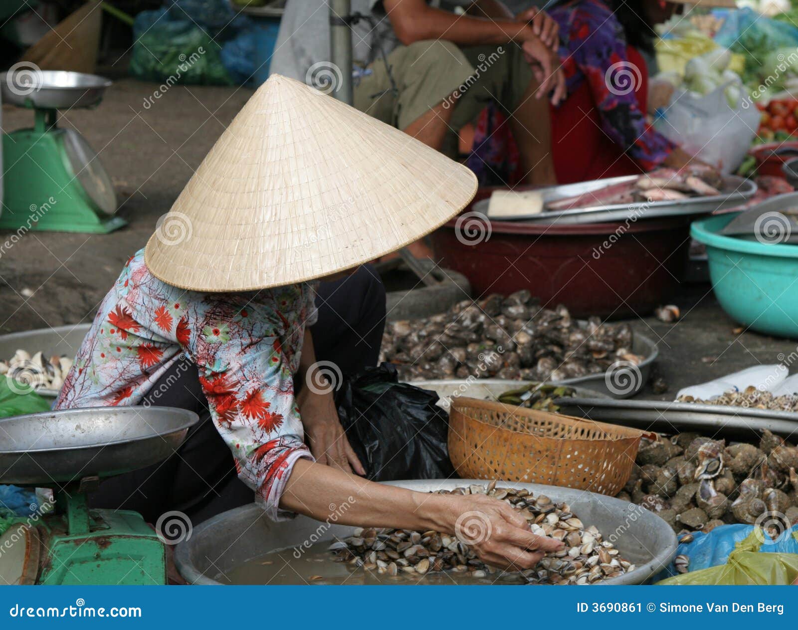 Sorting the shells stock image. Image of shell, stall 3690861