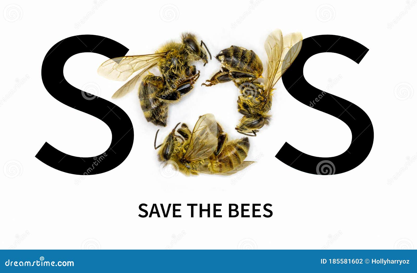SOS Save the Bees. Decline in Bees Due To Habitat Destruction ...