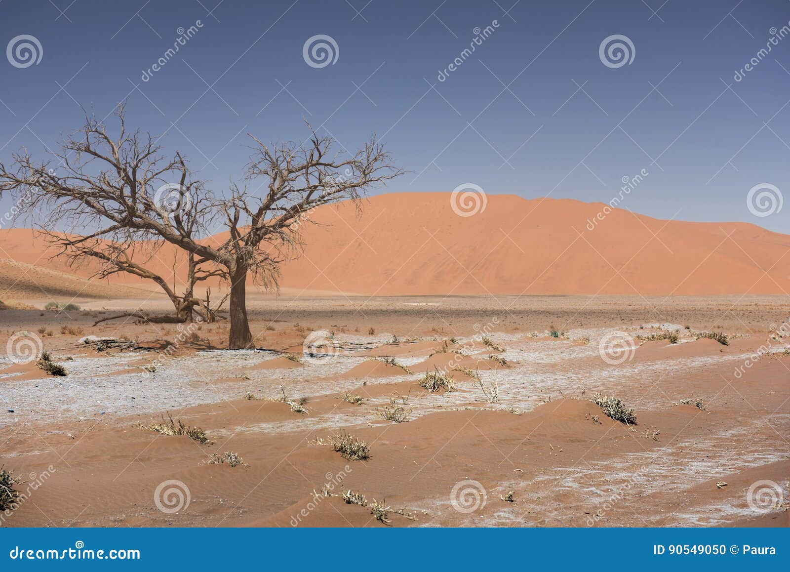 sossusvlei in namib desert, namibia