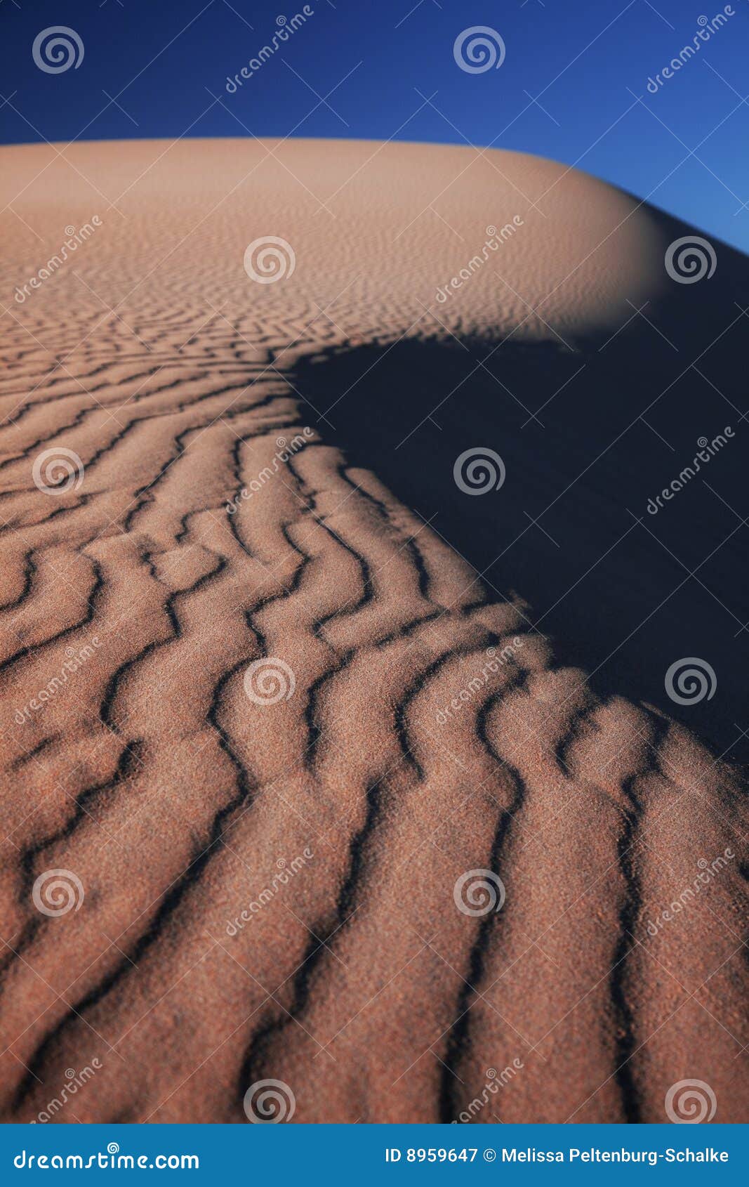 sossusvlei, namibia