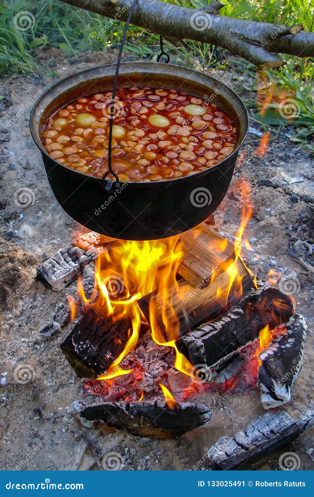 Outdoor Cooking on a Camping Trip